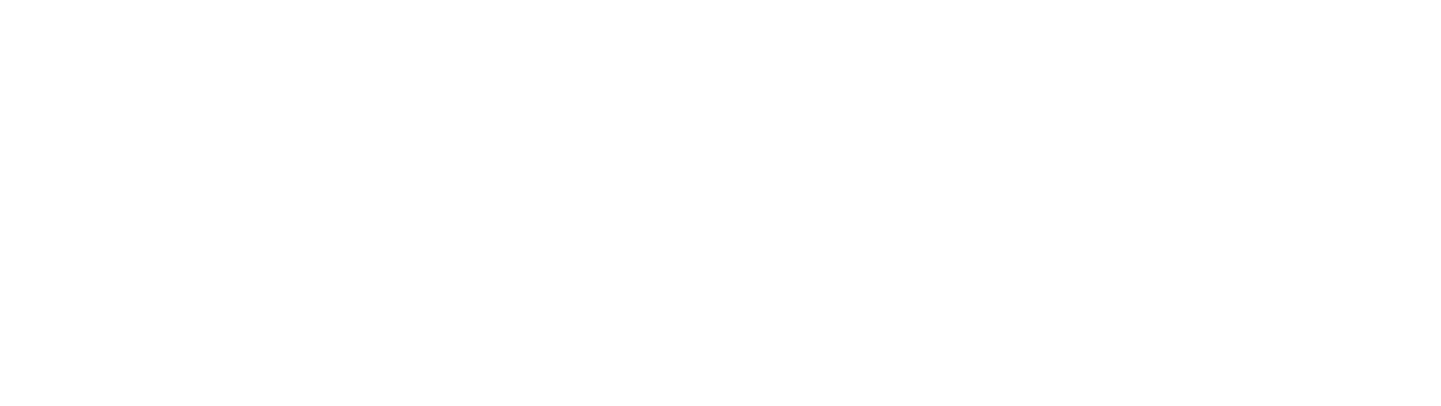 Connexyt Real Estate